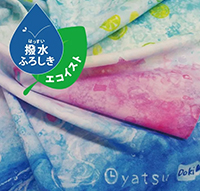 エコイスト風呂敷